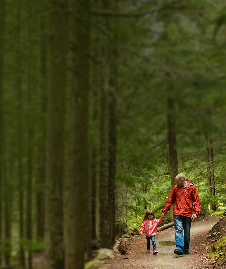 dad and child walking through an evergreen forest